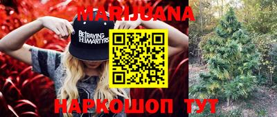 мдпв Коломна