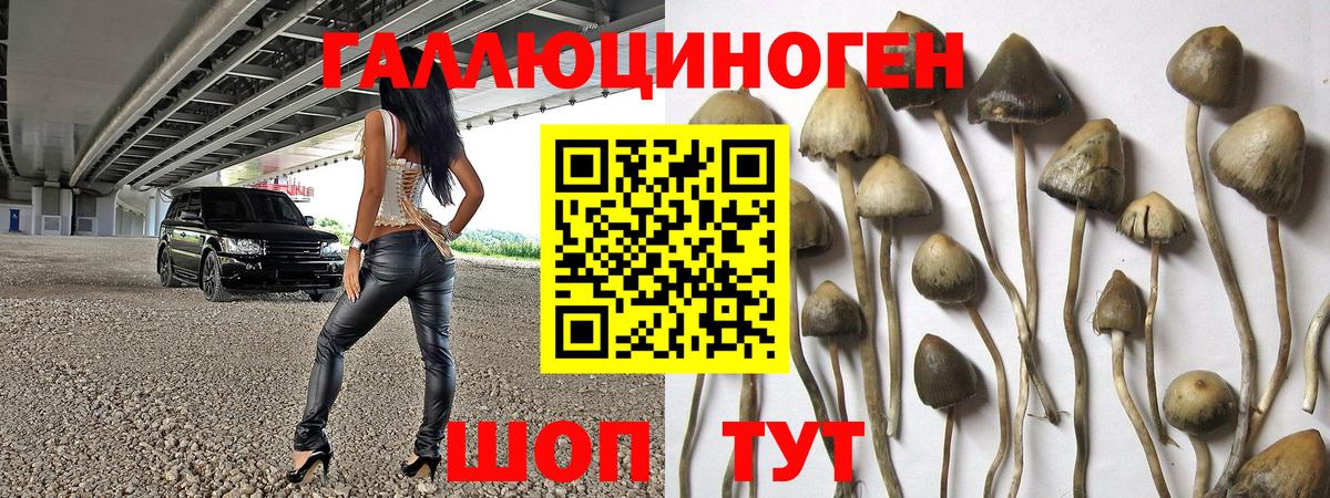 Симферополь  цены   Вход с VPN  Псилоцибиновые грибы ЛСД 