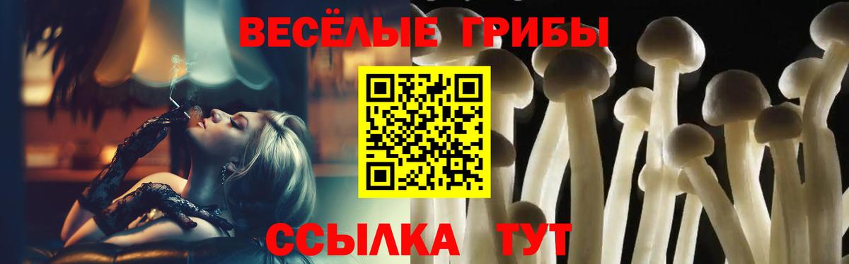 Псилоцибиновые грибы Psilocybe Симферополь
